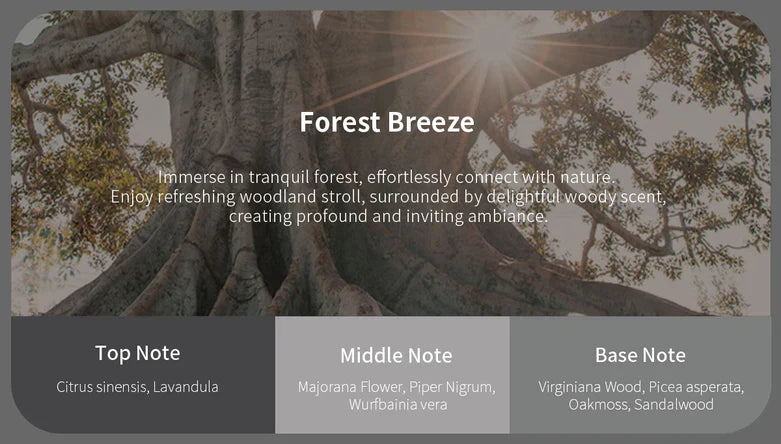 Jowua Car Fragrance Vent Clip for Tesla Model 3 / Model Y / Model S Model X – Natural Essential Oil Air Freshener/