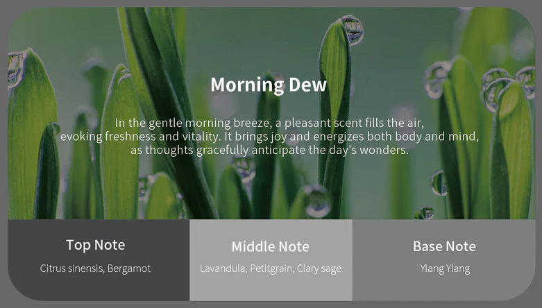 Jowua Car Fragrance Vent Clip for Tesla Model 3 / Model Y / Model S Model X – Natural Essential Oil Air Freshener/