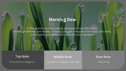 Jowua Car Fragrance Vent Clip for Tesla Model 3 / Model Y / Model S Model X – Natural Essential Oil Air Freshener/