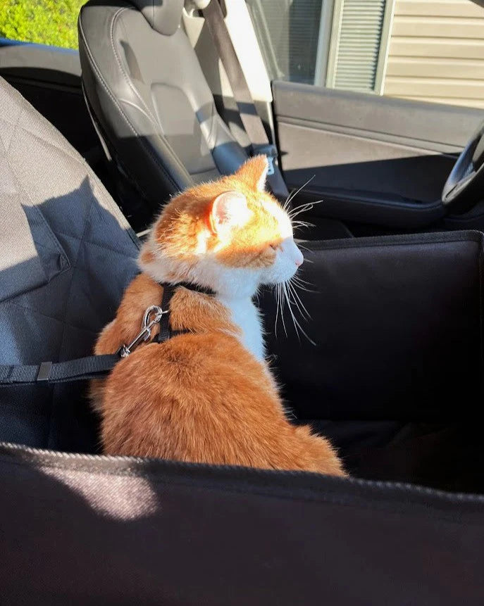 Front Passenger Seat Pet Cover with Storage Pocket for Tesla & EV Owners – Durable, Waterproof, Non-Slip