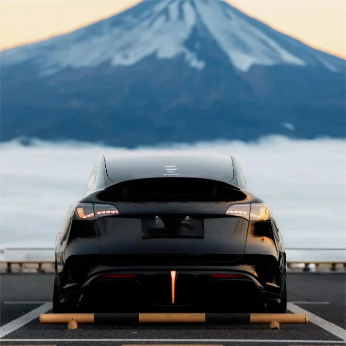 Dragon Scale LED Tail Lights for Tesla Model 3 & Model Y (Sequential Turn Signal, Plug-and-Play Upgrade)